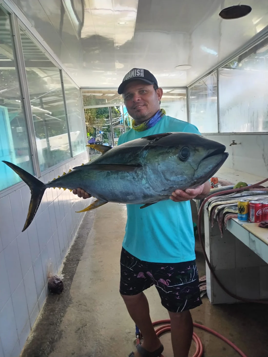 A yellowfin tuna held up back on shore, cleaned and ready