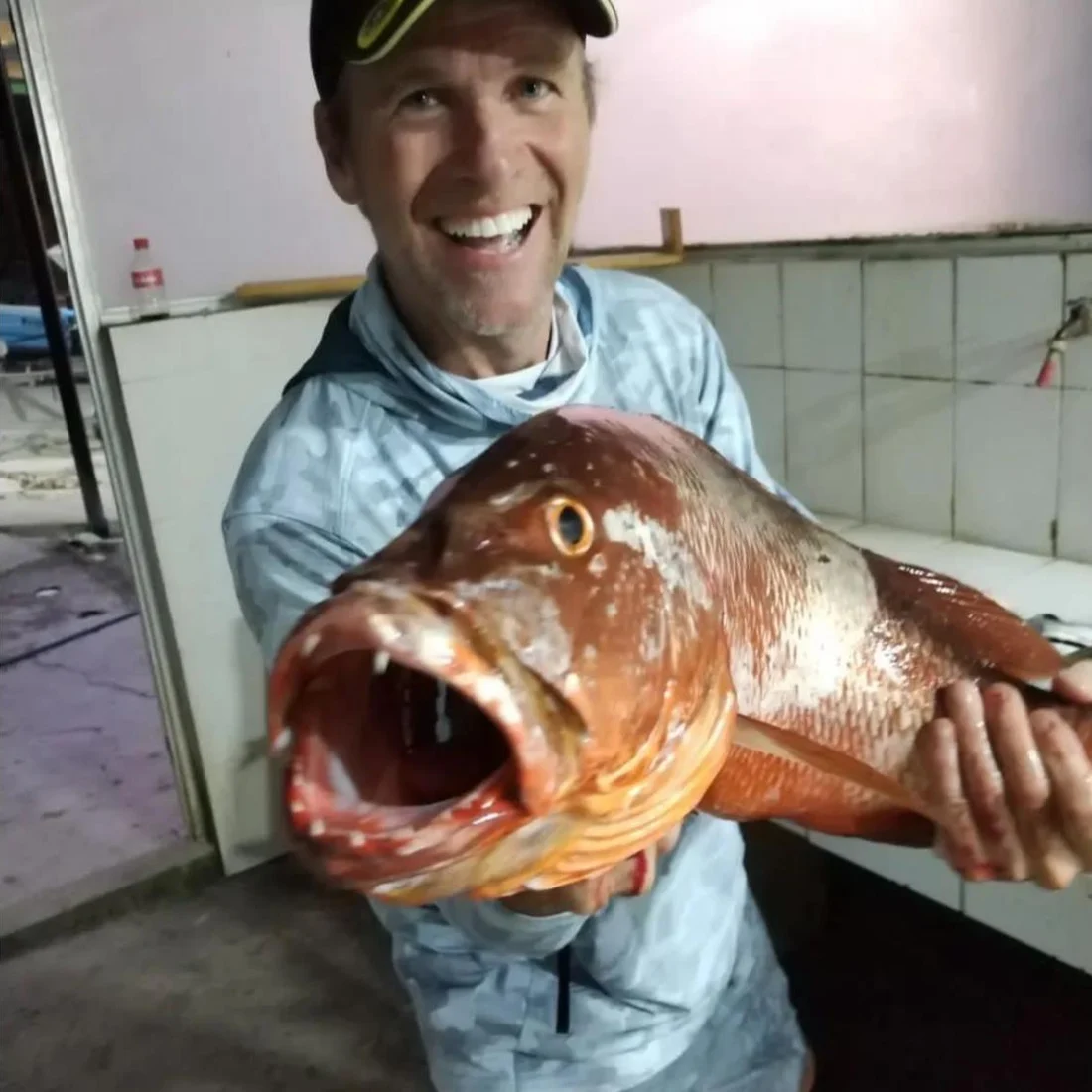 A cubera snapper big enough to need both arms, jaw wide open