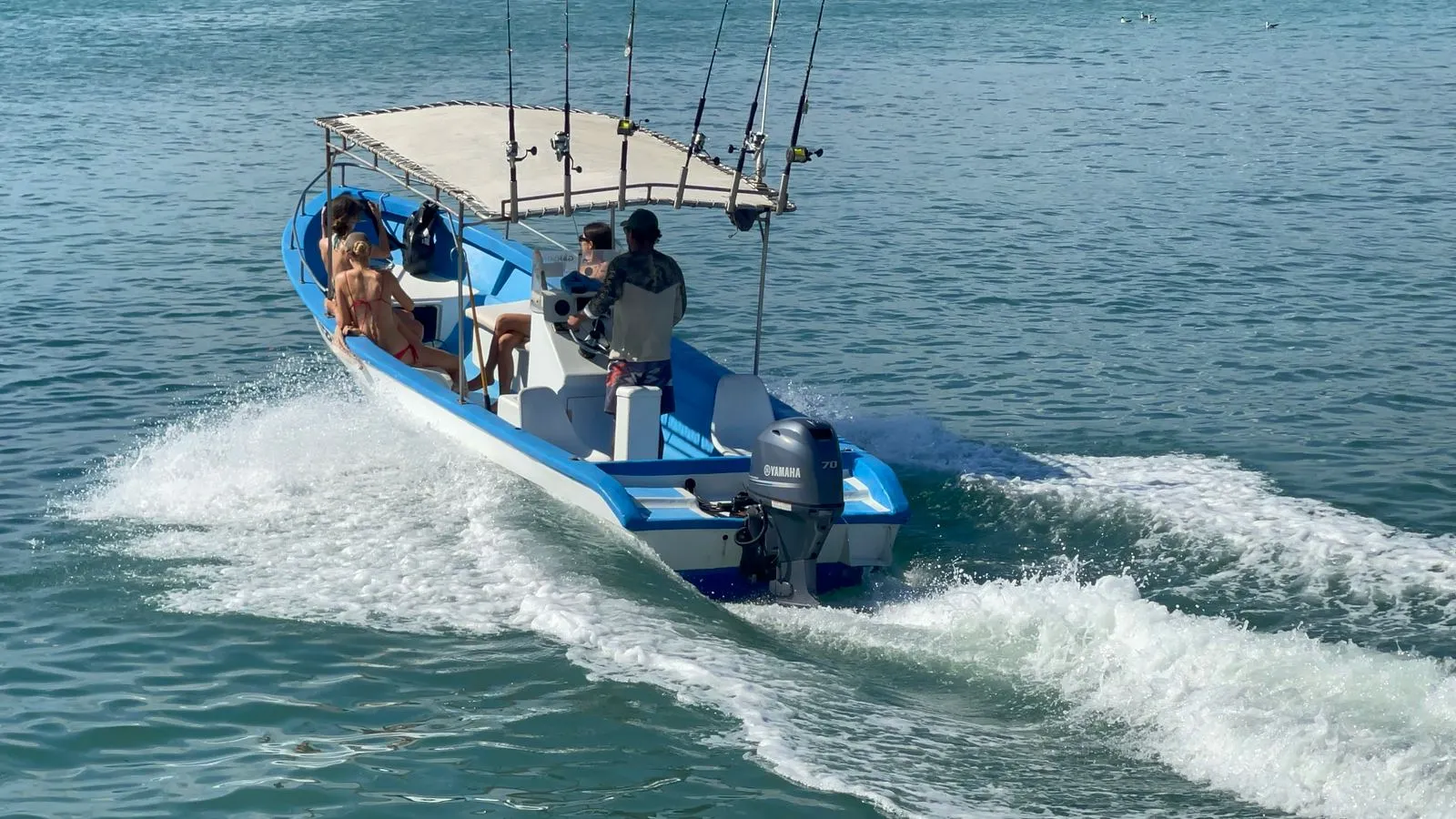 The panga running at speed off Santa Teresa with guests aboard